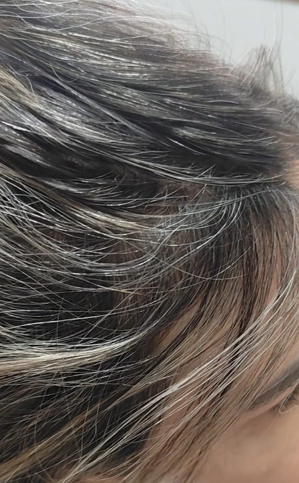 Imagem do WhatsApp de 2025-08-06 à(s) 22.13.48_a719f368